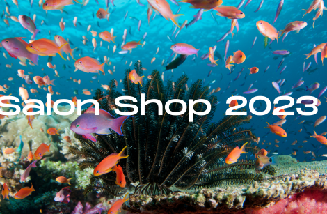 MARCH 2023- SHOP 2023 EXHIBITION